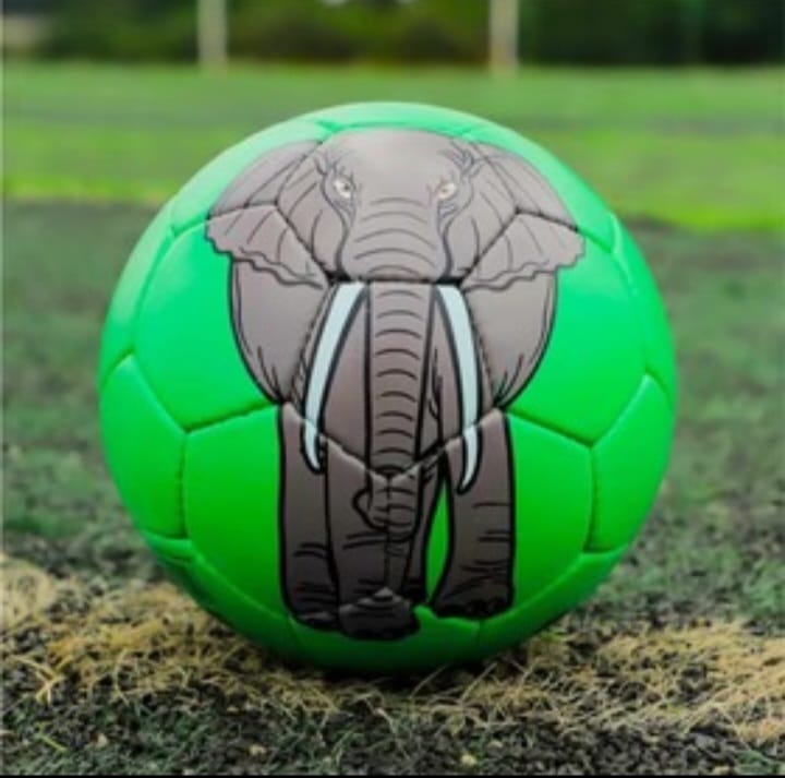 Football animal Print size 5 